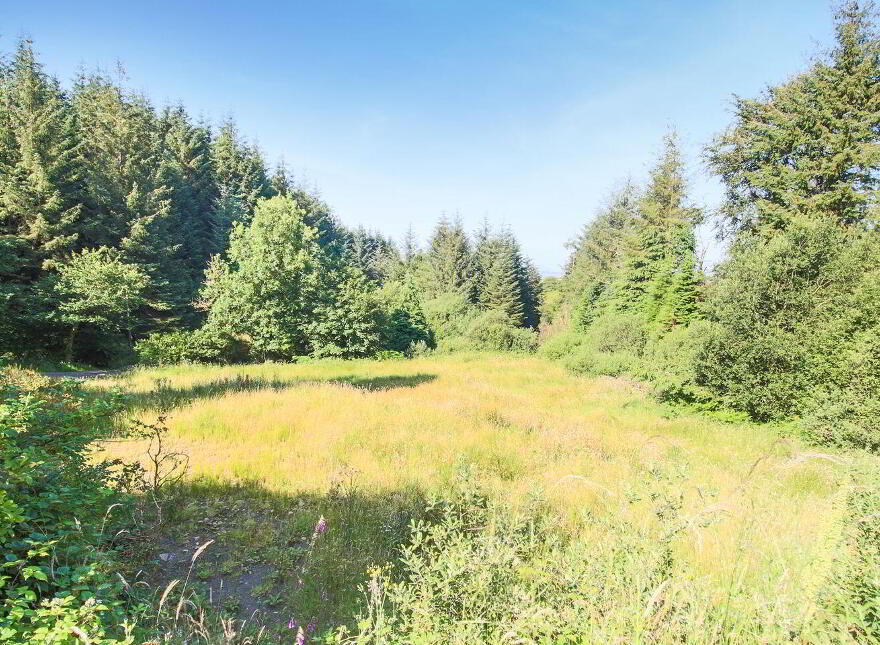 Ballynashee, Geevagh, F52T279