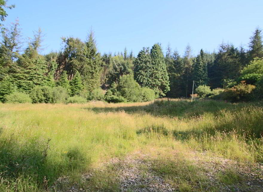 Ballynashee, Geevagh, F52T279