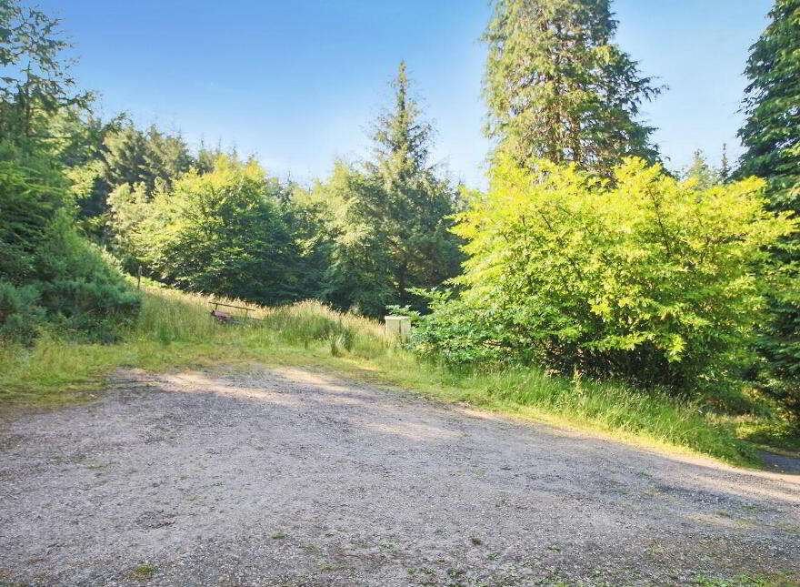 Ballynashee, Geevagh, F52T279