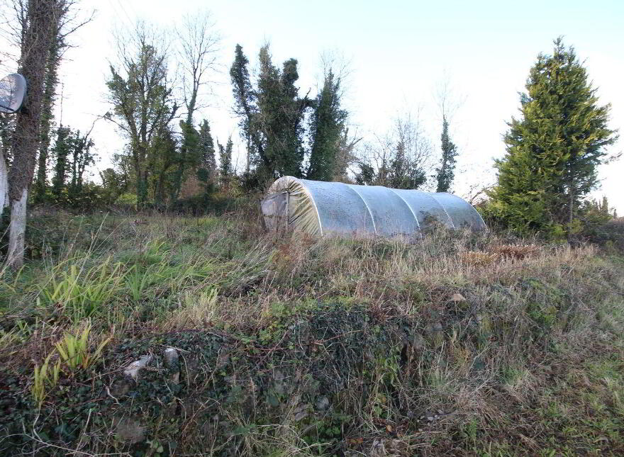Oswin Cottage, Dromod More, Dromod, N41TP62