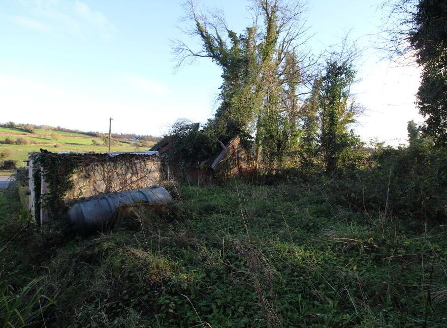 Oswin Cottage, Dromod More, Dromod, N41TP62