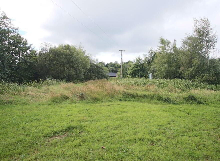 Blackhall Cottage, Gortnalougher, Cloone, N41N7N2