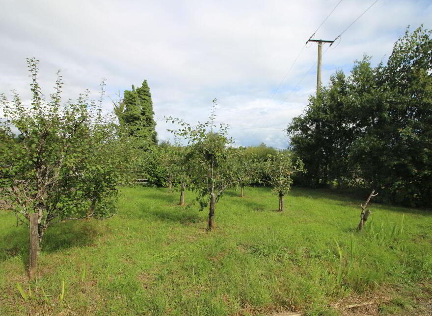 Blackhall Cottage, Gortnalougher, Cloone, N41N7N2