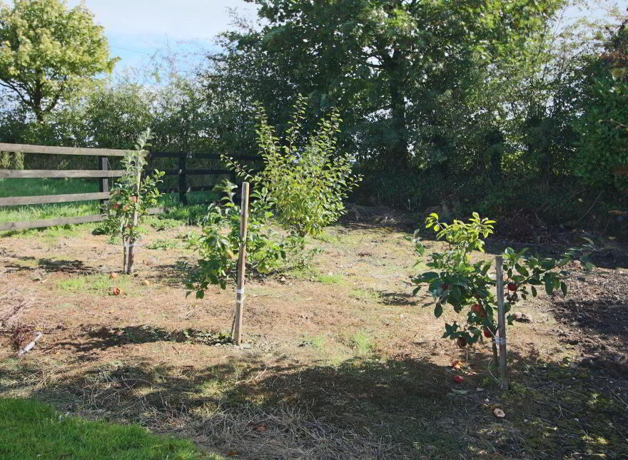 Newtowngore, Newtowngore, N41AH74