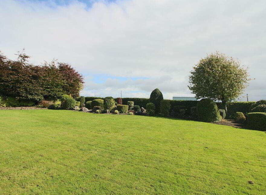 Newtowngore, Newtowngore, N41AH74