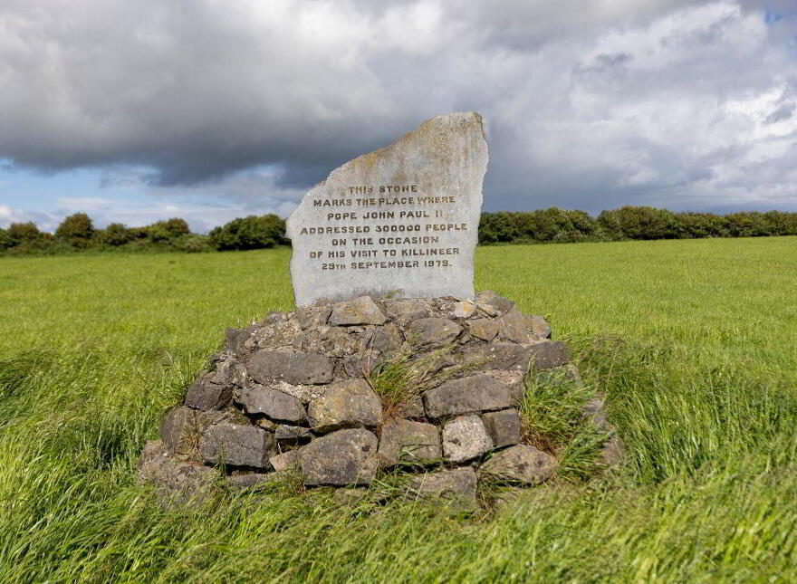27.5 Ha (68 Acres), Killineer, Tullyallen, A92W2N7