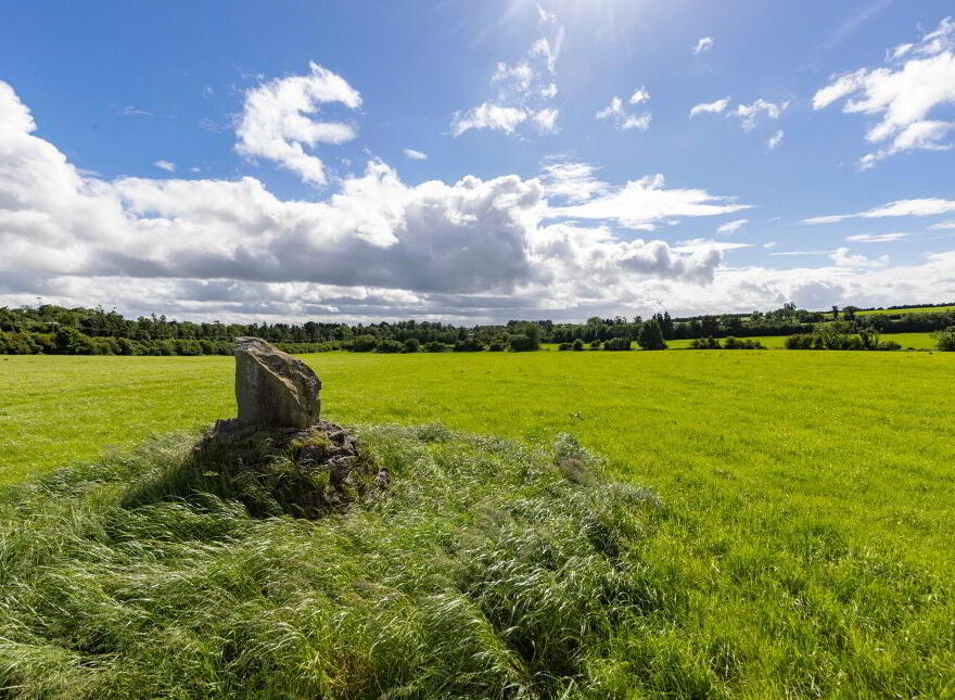 27.5 Ha (68 Acres), Killineer, Tullyallen, A92W2N7