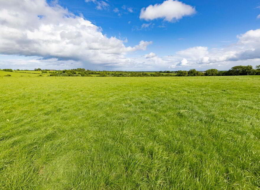 27.5 Ha (68 Acres), Killineer, Tullyallen, A92W2N7