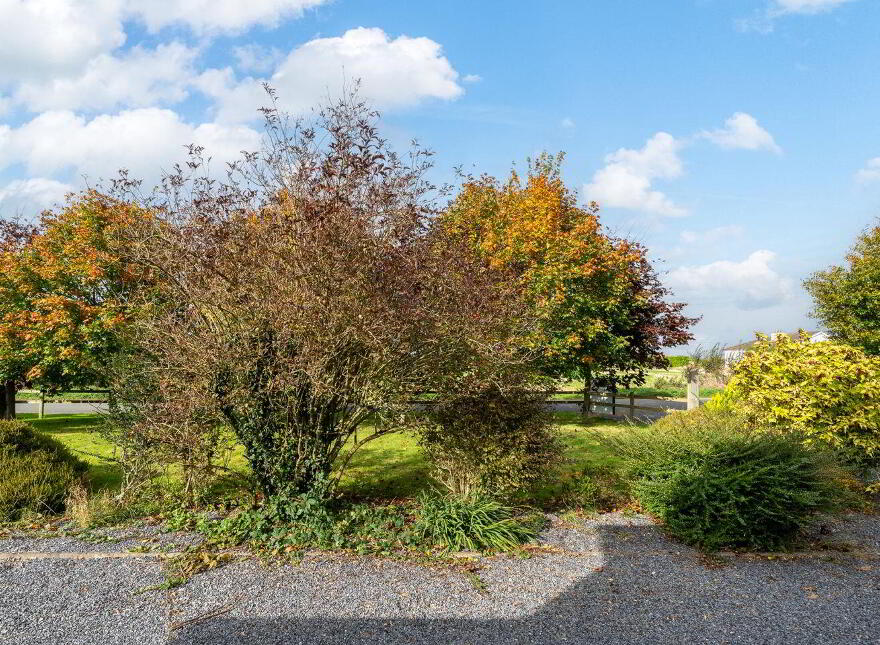 Esker Lodge, Coleraine, R35RK19