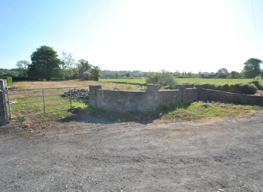 Timeighter, Roscrea photo