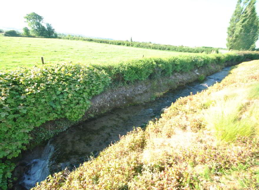 Timeighter, Roscrea