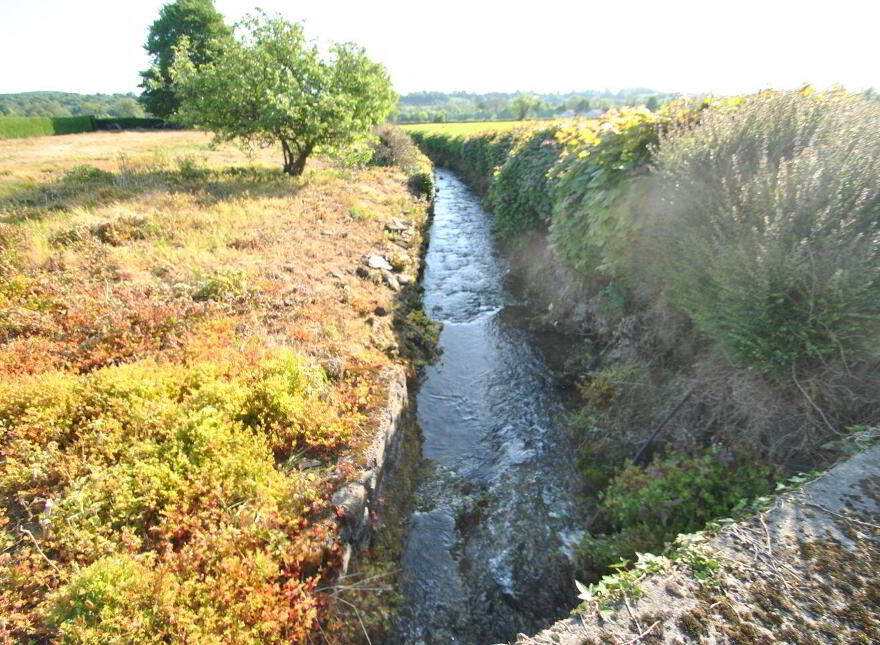 Timeighter, Roscrea