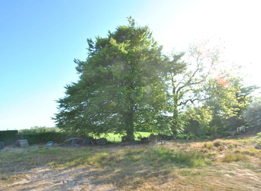 Timeighter, Roscrea