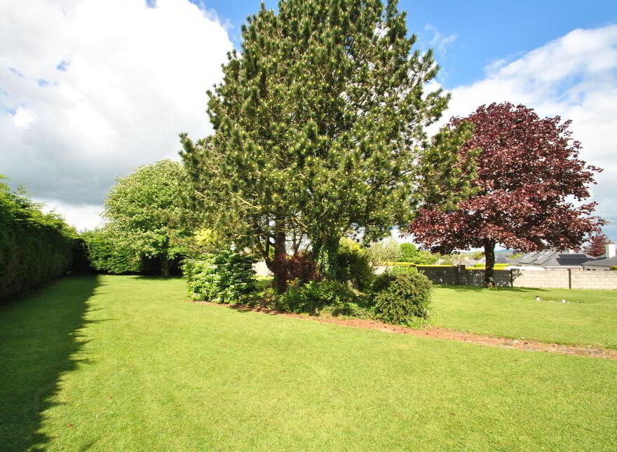 Tullaskeagh, Roscrea, E53EN39