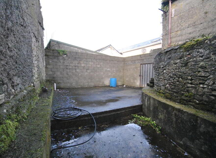 Main Street, Roscrea, E53VP76