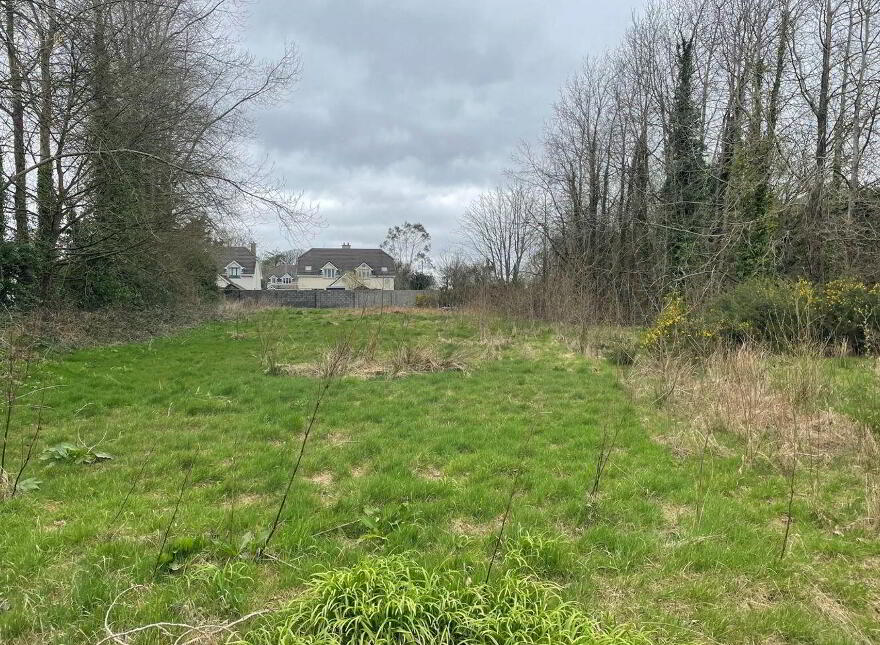 Clongeen Site, Clongeen