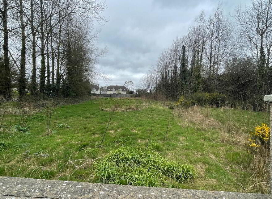 Clongeen Site, Clongeen