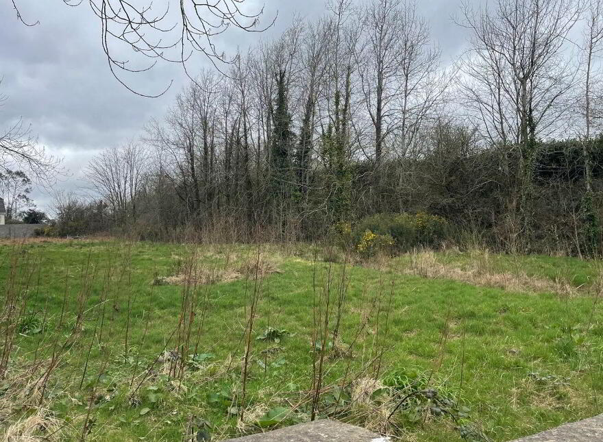 Clongeen Site, Clongeen