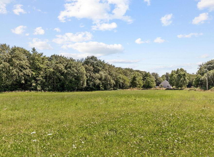 Site 3.3 Acres, Tottenhamgreen, Taghmon