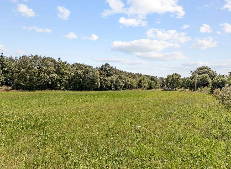 Site 3.3 Acres, Tottenhamgreen, Taghmon