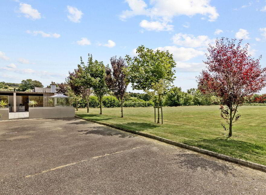 Barmoney, Galbally, Y21CX98