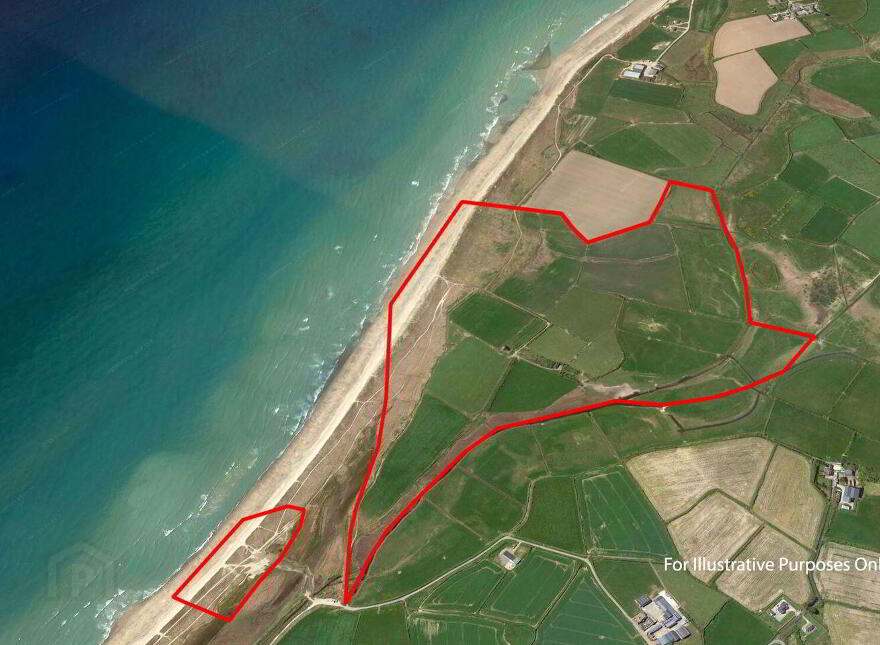 Ringbawn/Ballagh Land ( 132.5 Acres), Tacumshane