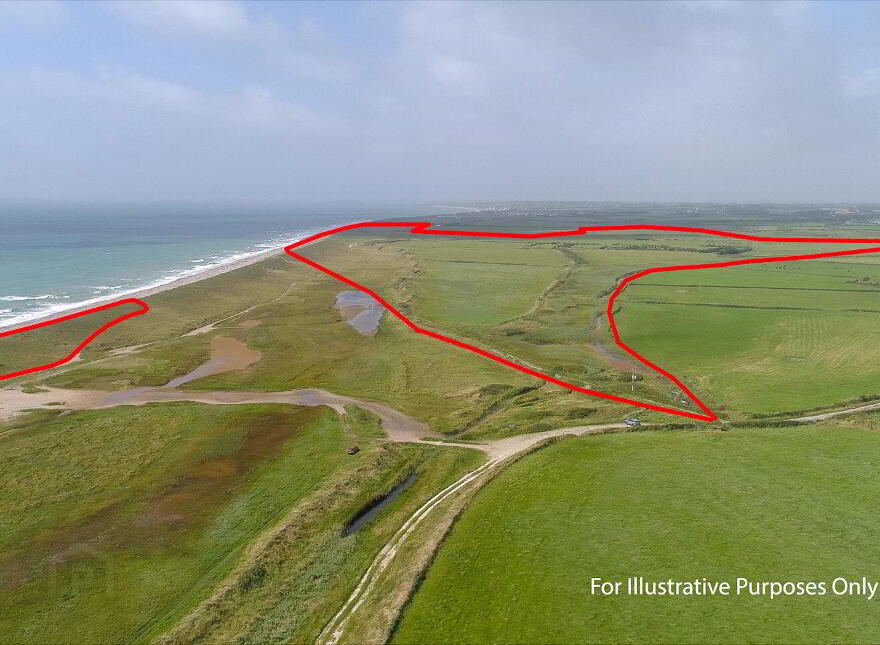 Ringbawn/Ballagh Land ( 132.5 Acres), Tacumshane