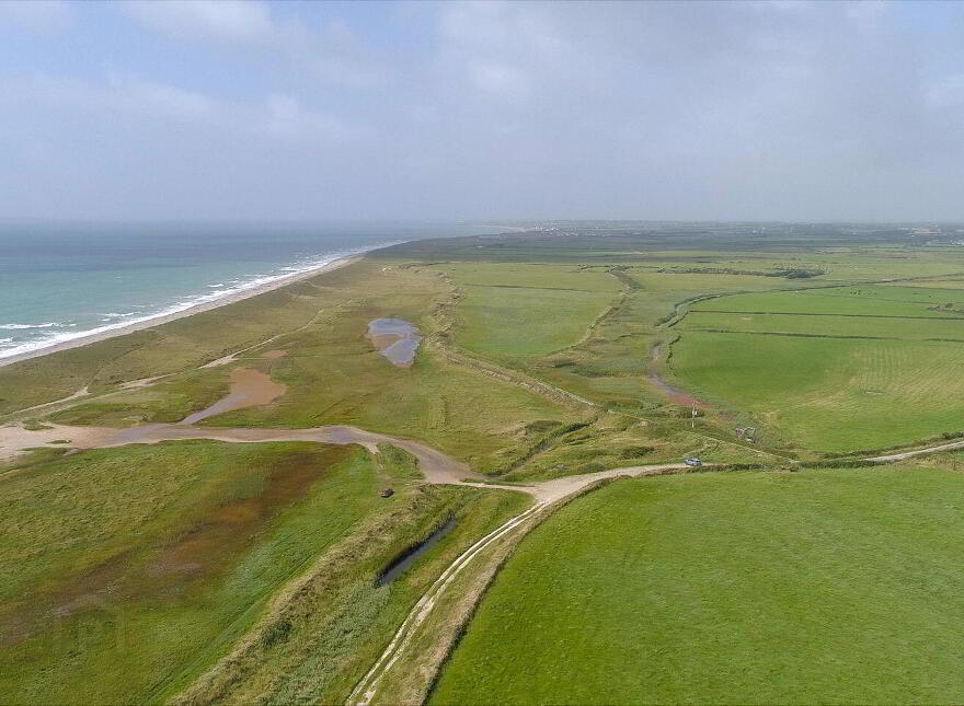 Ringbawn/Ballagh Land ( 132.5 Acres), Tacumshane