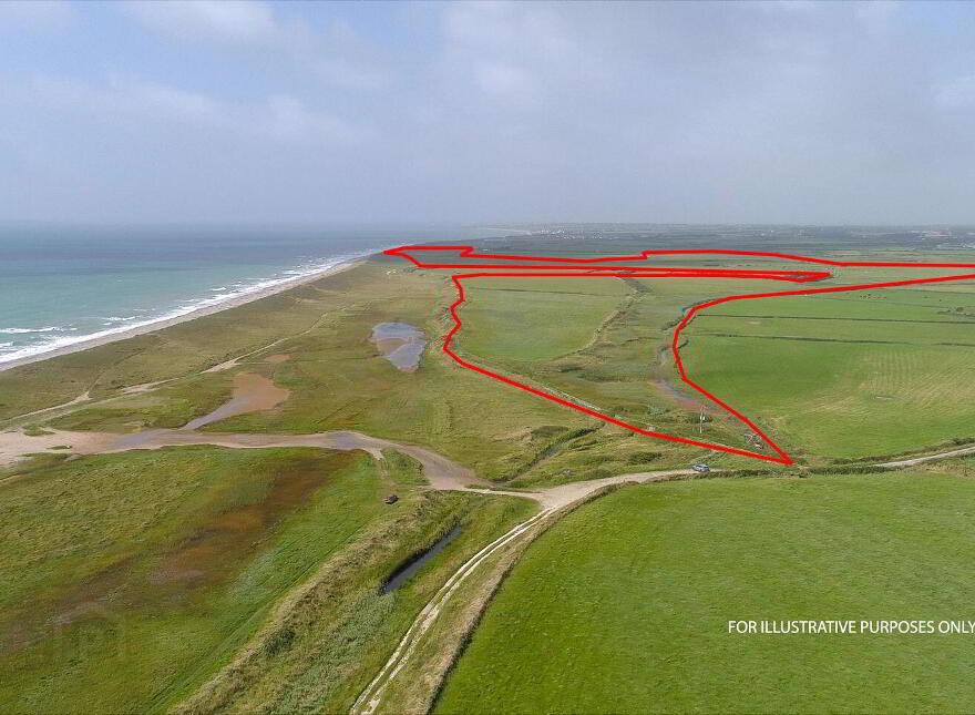 Ringbawn/Ballagh Land ( 132.5 Acres), Tacumshane