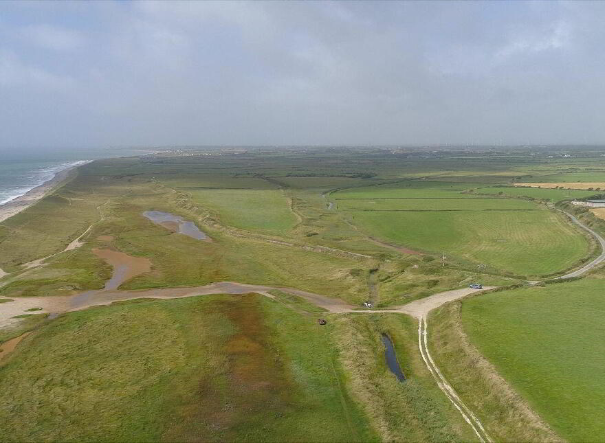 Ringbawn/Ballagh Land ( 132.5 Acres), Tacumshane