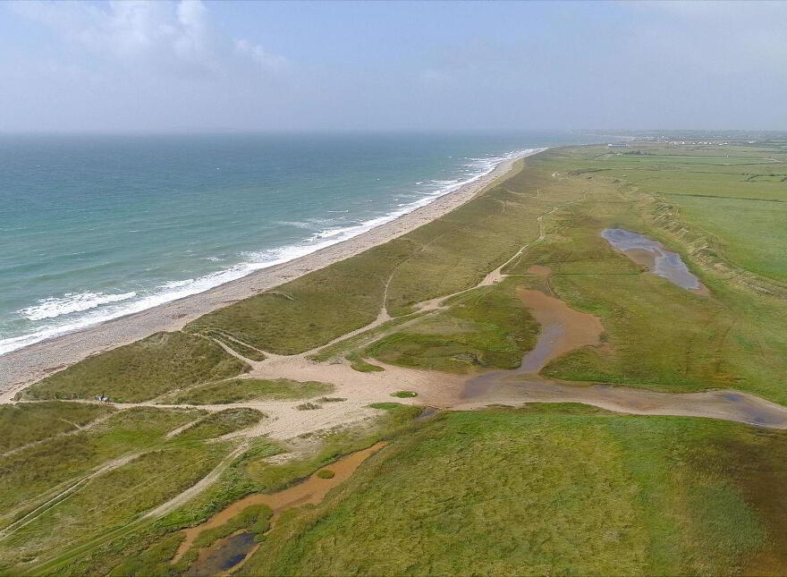 Ringbawn/Ballagh Land ( 132.5 Acres), Tacumshane