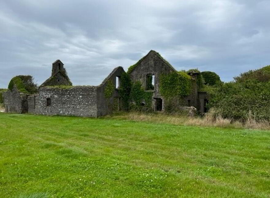 Ringbawn/Ballagh Land ( 132.5 Acres), Tacumshane