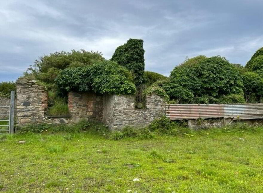 Ringbawn/Ballagh Land ( 132.5 Acres), Tacumshane