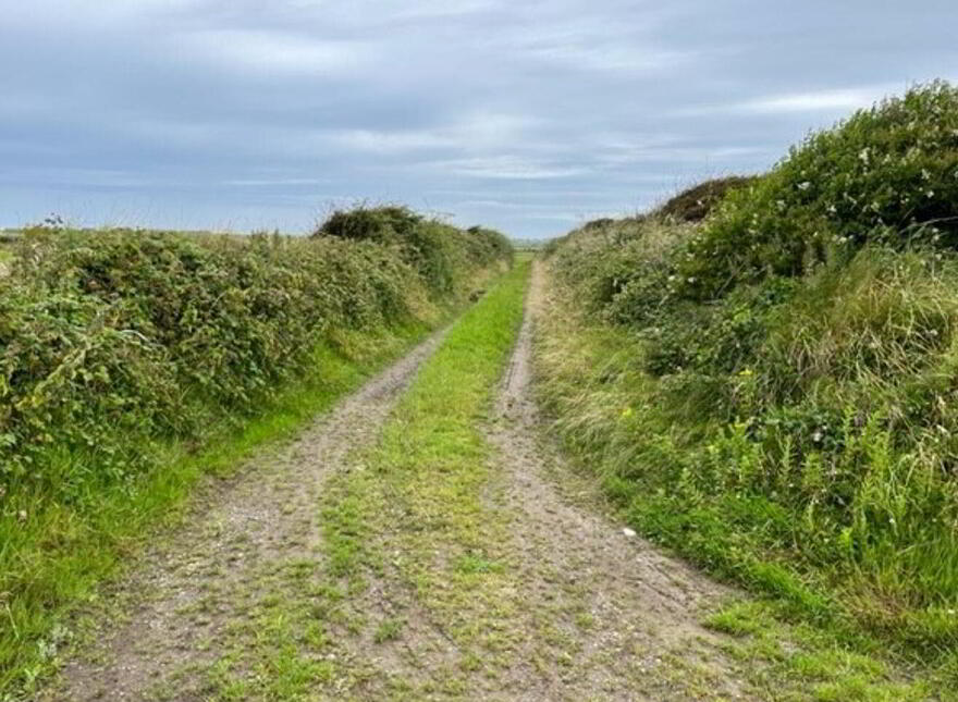Ringbawn/Ballagh Land ( 132.5 Acres), Tacumshane