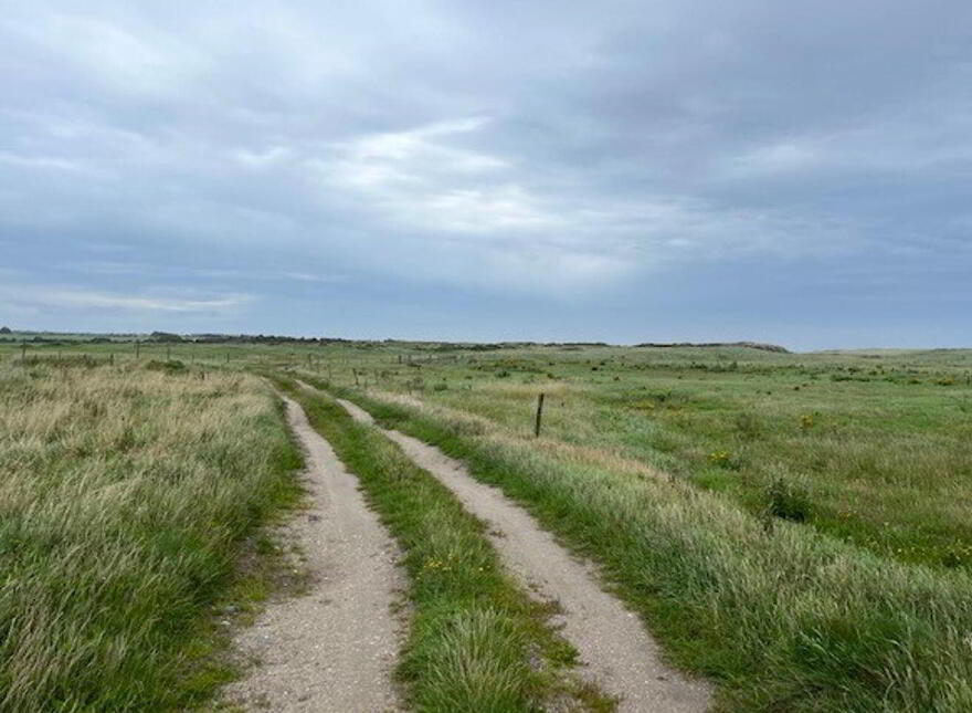 Ringbawn/Ballagh Land ( 132.5 Acres), Tacumshane