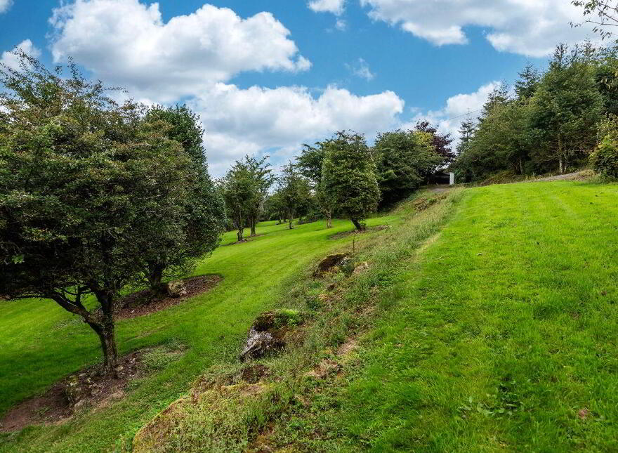 Hillside, Tinnacarrick, Newbawn, Y35P894