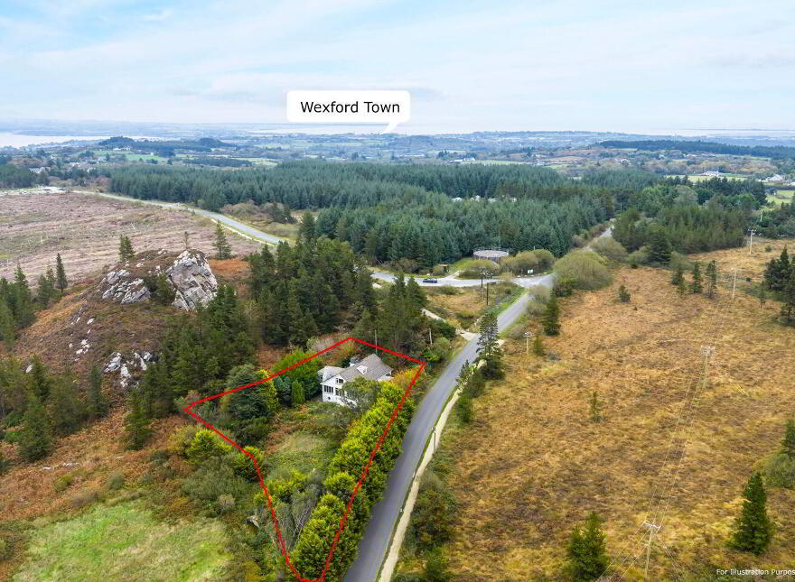 Pehuen, Shelmalier Commons, Barntown, Y35E1W1