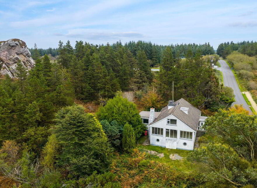 Pehuen, Shelmalier Commons, Barntown, Y35E1W1