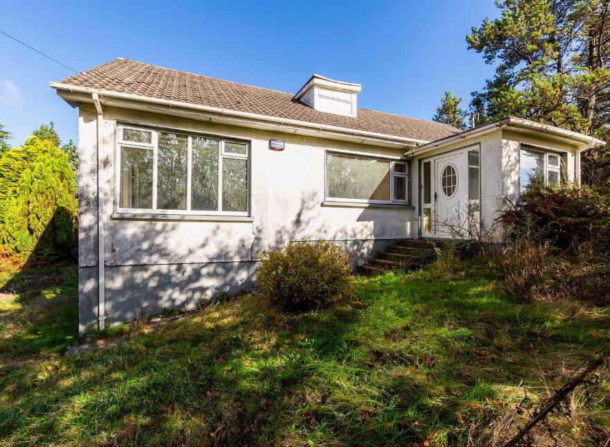 Pehuen, Shelmalier Commons, Barntown, Y35E1W1