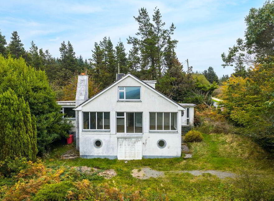 Pehuen, Shelmalier Commons, Barntown, Y35E1W1