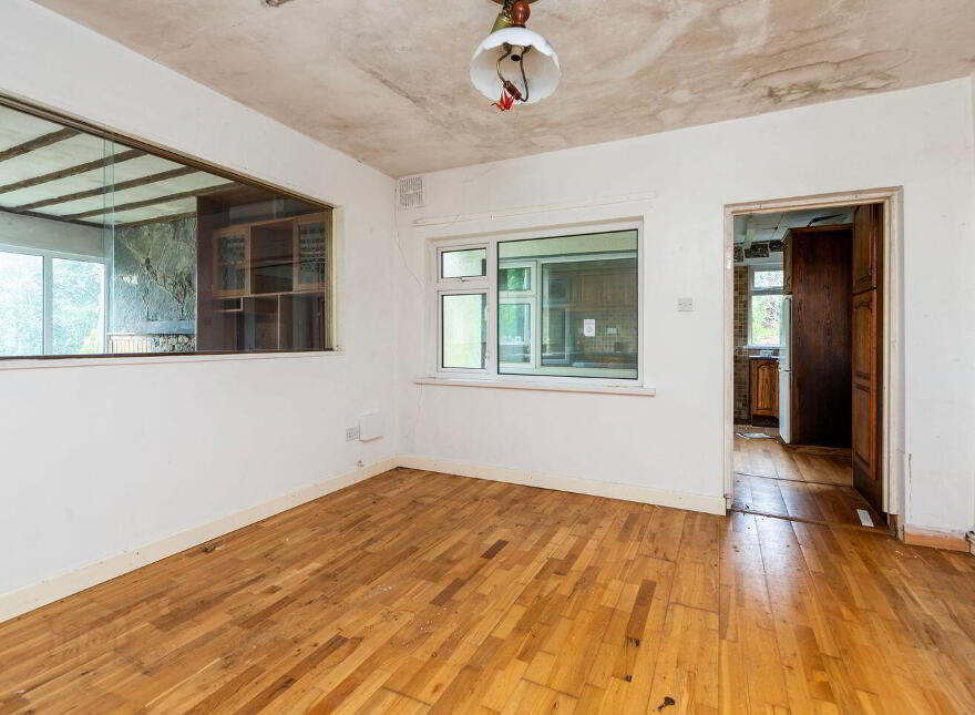Pehuen, Shelmalier Commons, Barntown, Y35E1W1