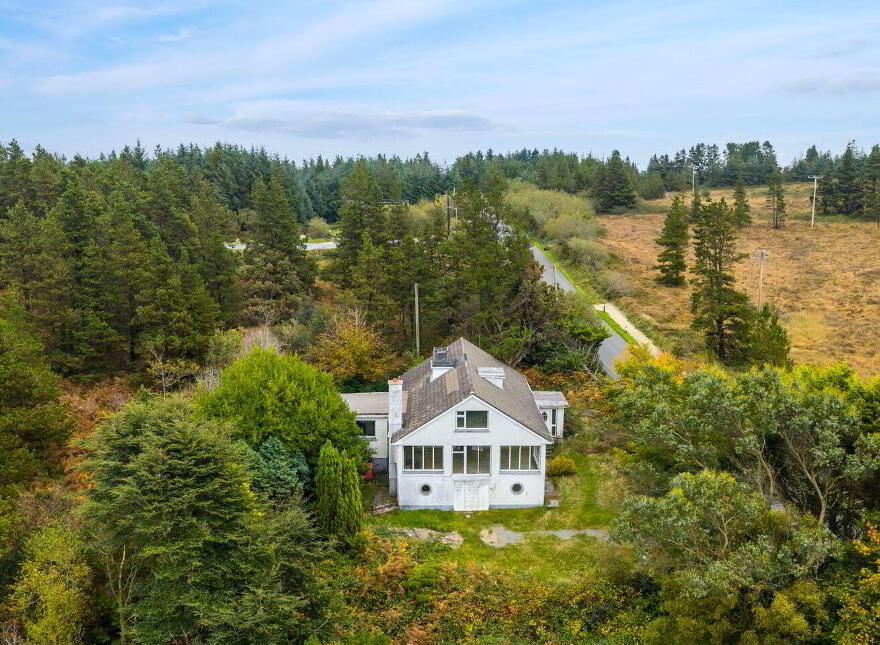 Pehuen, Shelmalier Commons, Barntown, Y35E1W1