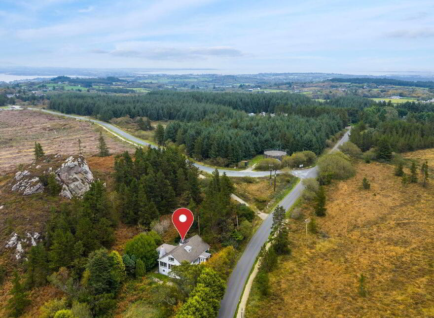 Pehuen, Shelmalier Commons, Barntown, Y35E1W1