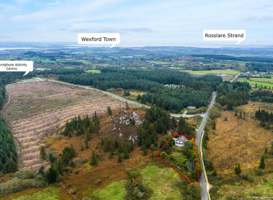Pehuen, Shelmalier Commons, Barntown, Y35E1W1