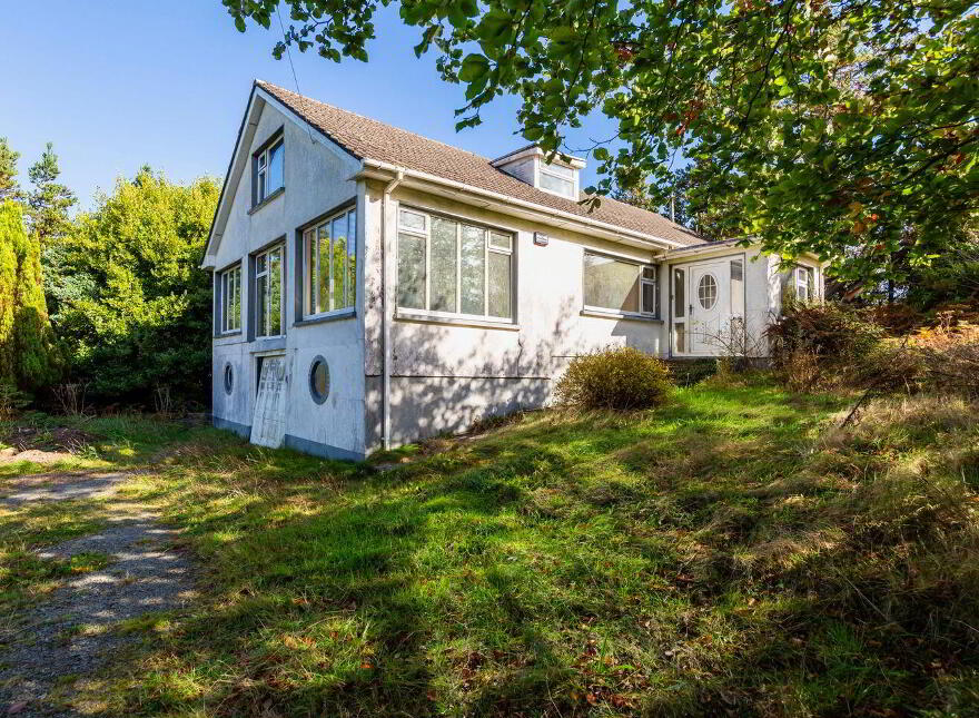 Pehuen, Shelmalier Commons, Barntown, Y35E1W1
