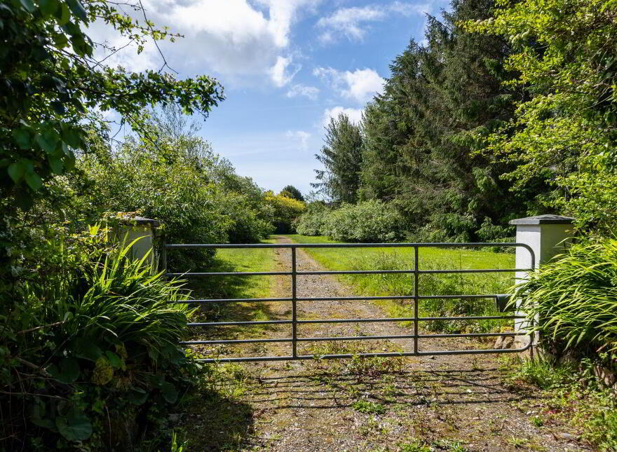 The Willows, Larkinstown, Coolree, Coolree, Y35H2VE