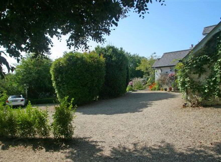 The Thatch, Ballinalea, County, Ballinalea, A67XH60