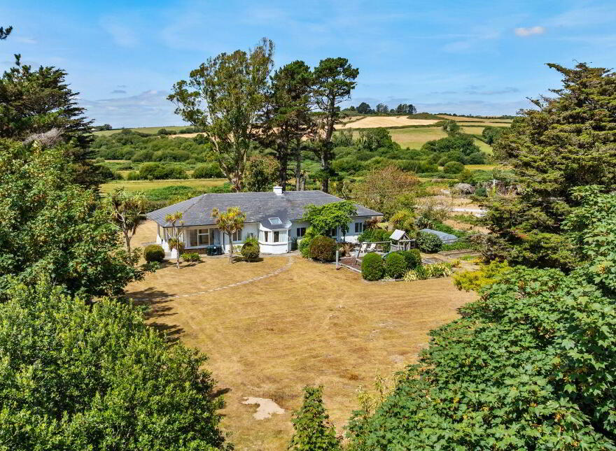 Roselli, Cornagower, Brittas Bay, A67XE37
