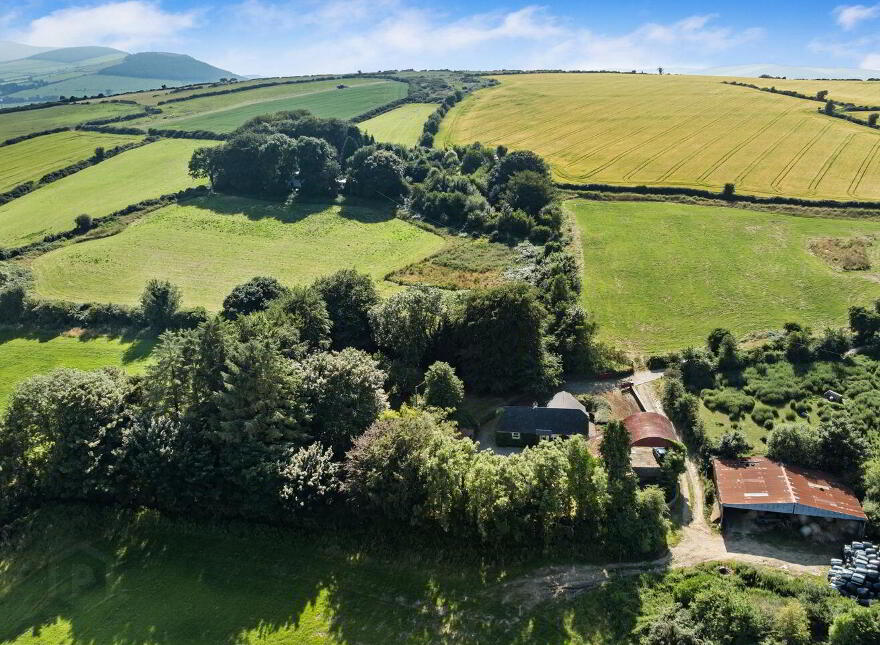 Ballymoneen, Avoca, Y14YV67