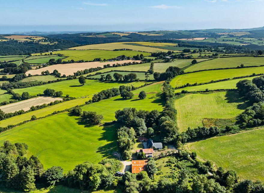 Ballymoneen, Avoca, Y14YV67
